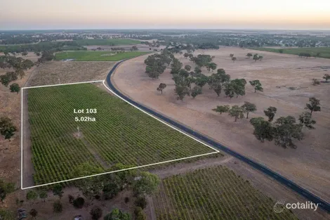 Lot 103 Dergholm Rd, Penola, SA 5277