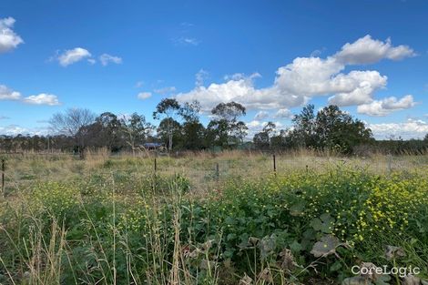 Property photo of 13 Allan Cunningham Road Scone NSW 2337