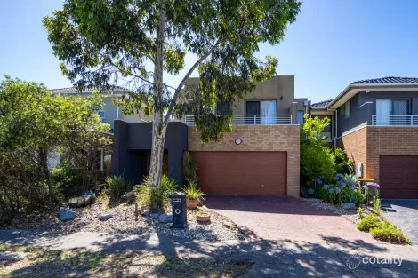 19 Cobb St, South Morang, VIC 3752