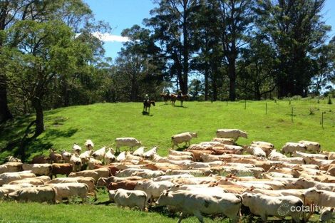 7725 Waterfall Way, Hernani, NSW 2453