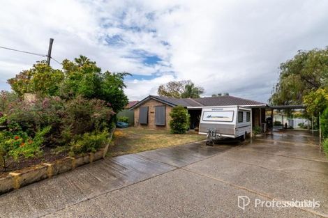 Property photo of 49 Dampier Loop Mirrabooka WA 6061