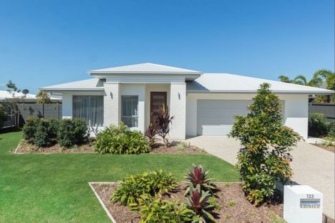 Property photo of 133 Queens Road Nudgee QLD 4014