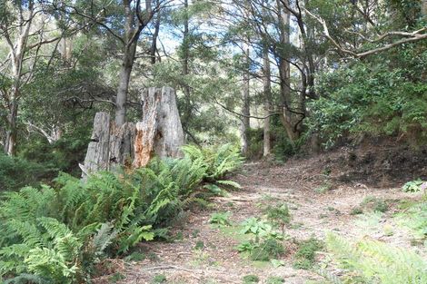 Property photo of 90 Gulf Road Liffey TAS 7301