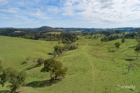 297 Mooraback Rd, Yarrowitch, NSW 2354