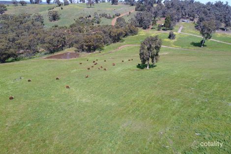 279 Harders Chitty Rd, West Toodyay, WA 6566