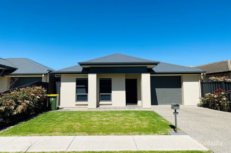 Property photo of 8 Cedar Avenue Warradale SA 5046