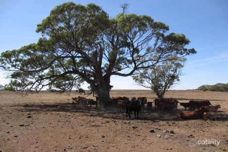 1 Havelberg Rd, Black Hill, SA 5353