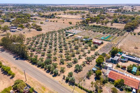 Property photo of 3 McCord Road Two Wells SA 5501