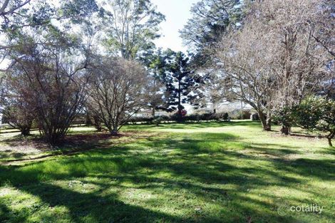 17 Beech St, Dorrigo, NSW 2453