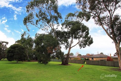 Property photo of 45 Bulli Street Moorabbin VIC 3189