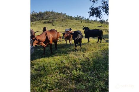 Lot 84 Wangool Rd, Mount Perry, QLD 4671