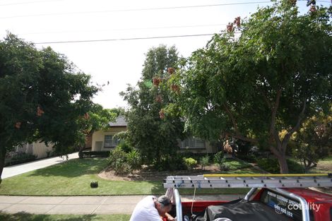 61 Autumn Ave, Lockleys, SA 5032