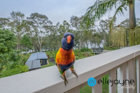 Property photo of 89 Newport Road Dora Creek NSW 2264