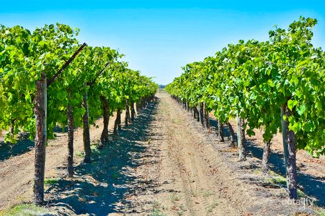 47 Sturt Rd, Pomona, NSW 2648