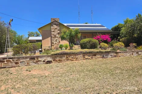 11 Murrayville Rd, Pinnaroo, SA 5304