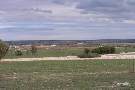 147 Ramm Rd, Mannum, SA 5238