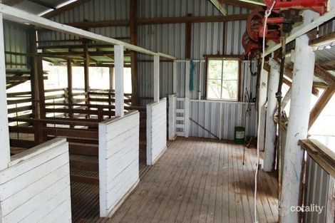 13 Mcknights Rd, Blackswamp, QLD 4413