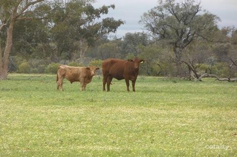 4088 Hungerford Rd, Thargomindah, QLD 4492