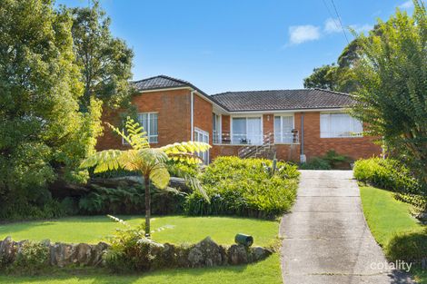 Property photo of 66 Albert Drive Killara NSW 2071