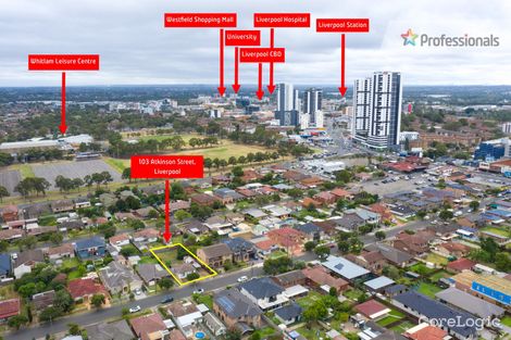 Property photo of 103 Atkinson Street Liverpool NSW 2170