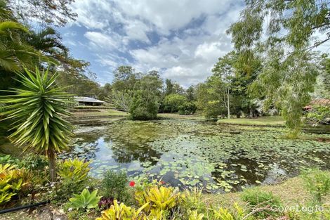 Property photo of 53 Coorabin Court Tallebudgera QLD 4228