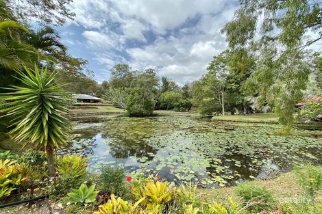 53 Coorabin Ct, Tallebudgera, QLD 4228