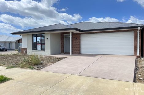 Property photo of 24 Tranquility Crescent Armstrong Creek VIC 3217