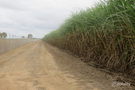 88 Jack Rd, Brandon, QLD 4808