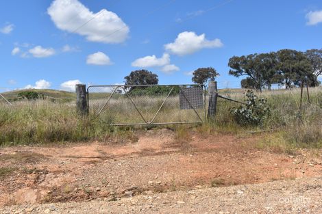 1268 Neurea Rd, Mumbil, NSW 2820