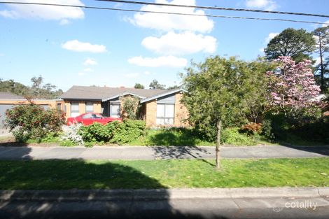3/239 Boronia Rd, Boronia, VIC 3155