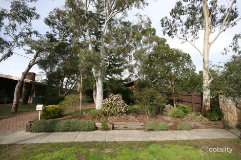 55 Dirkala Ave, Heathmont, VIC 3135