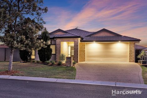 Property photo of 7 Ningaui Crescent North Lakes QLD 4509