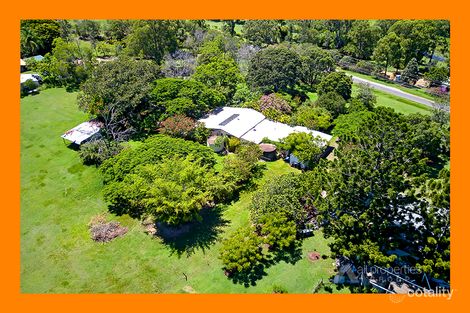 Property photo of 64 Teak Street Cedar Vale QLD 4285