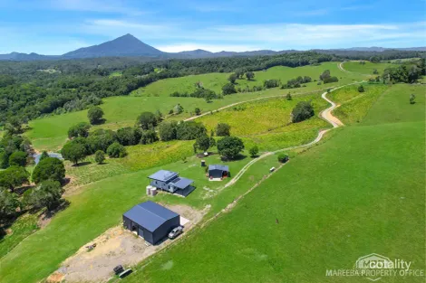 4532 Black Mountain Rd, Julatten, QLD 4871