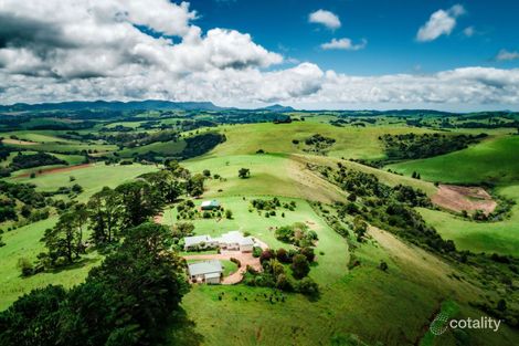 Property photo of 591 Shephards Road Bielsdown Hills NSW 2453