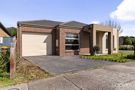 16 Chamonix Pde, South Morang, VIC 3752