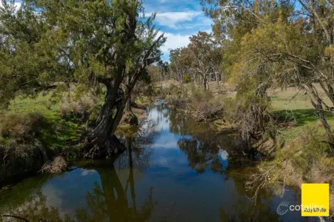 594 Elsmore Rd, Brodies Plains, NSW 2360