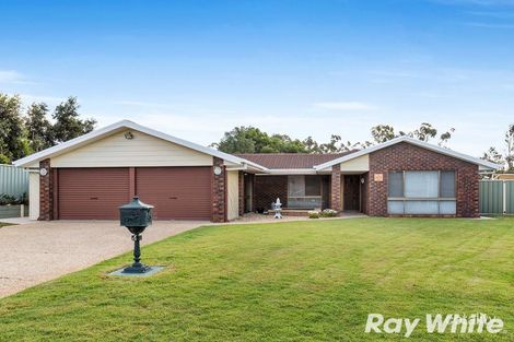 Property photo of 4 Lenz Street Chermside West QLD 4032