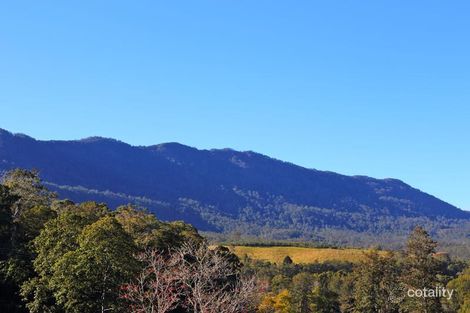 Property photo of 10 Darkwood Road Thora NSW 2454