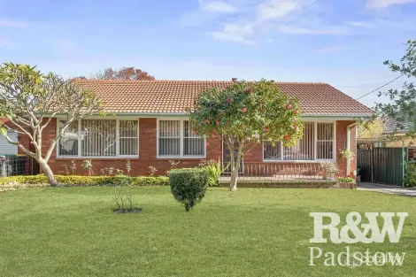 Property photo of 6 Bradley Crescent Wiley Park NSW 2195