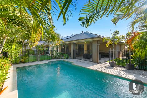 Property photo of 53 Dundas Street Ormiston QLD 4160