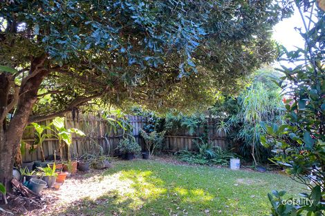 Property photo of 23 Peter Street Banora Point NSW 2486