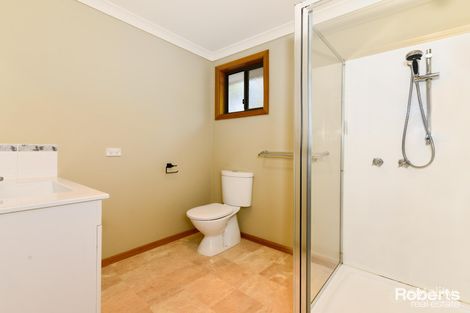 Property photo of 259 Lower Swamp Road Lachlan TAS 7140