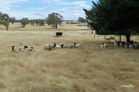 45 Hewitts Lane, Grabben Gullen, NSW 2583