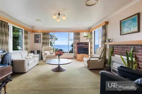 20 Quinn St, Penguin, TAS 7316