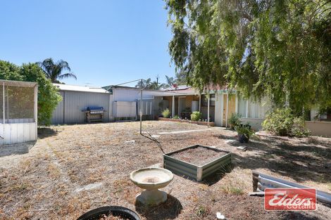 Property photo of 38 Paxton Street Willaston SA 5118