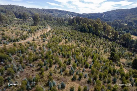 Property photo of LOT 4 Paddys Lane Franklin TAS 7113