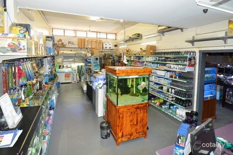 Property photo of 4 Brampton Avenue Cranbrook QLD 4814