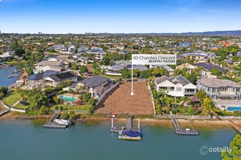 Property photo of 60 Charolais Crescent Benowa QLD 4217