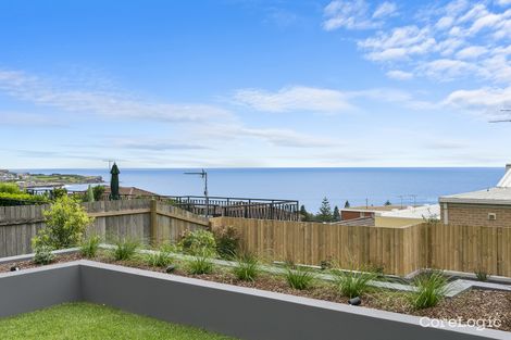 Property photo of 3/325 Arden Street Coogee NSW 2034